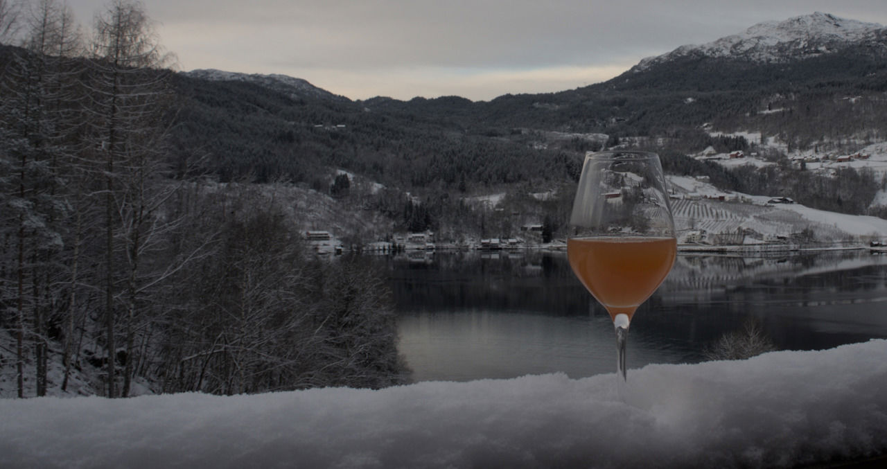 Bilde av eit glas med sider framfor utsikt til ein fruktgard i Ulvik.